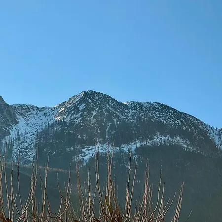 Boutique Oase Hotel Bad Ischl